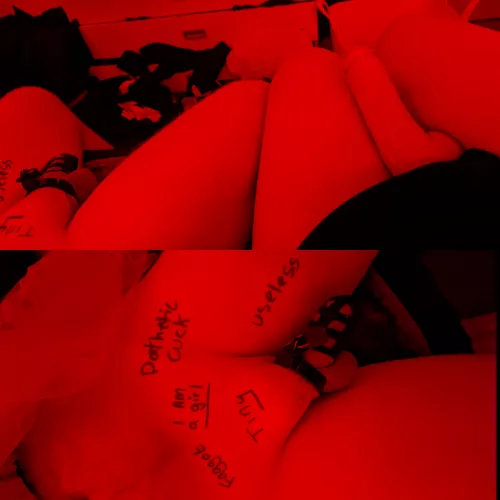 Do you think my sissy sub understands her place now? by AstramoriChan