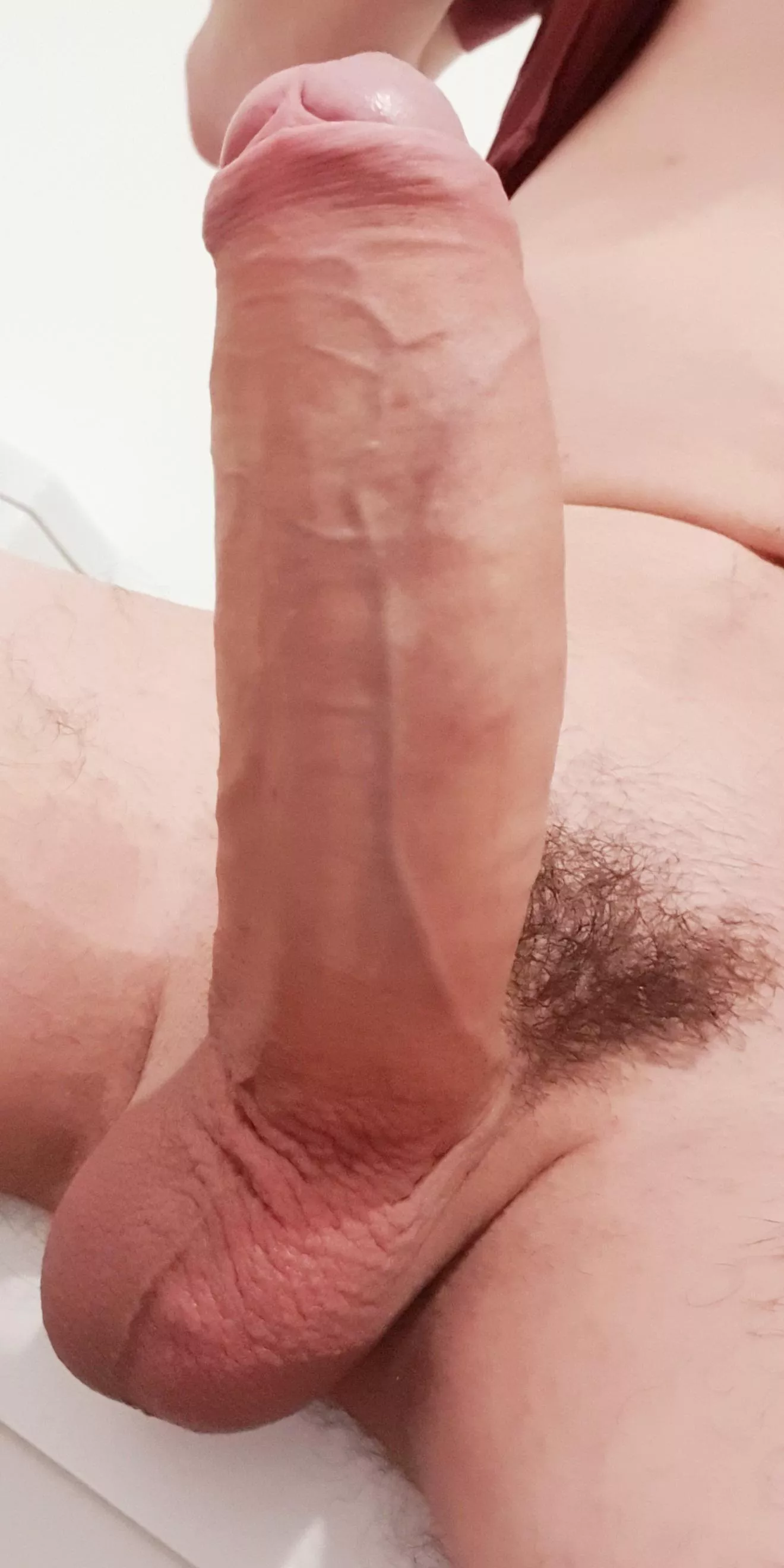 Do you think they'll like it? posted by big_dick_dilemma