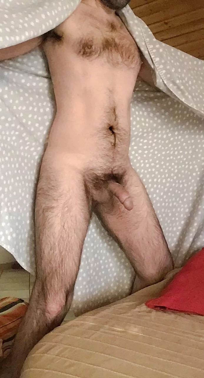 Do you want a hug? posted by ludoridi