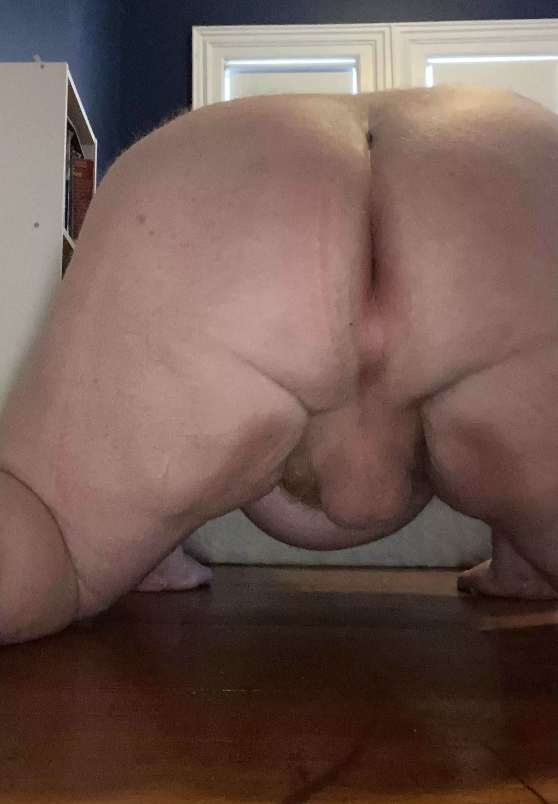 Do you want to breed me? ;) DMs open posted by [deleted]