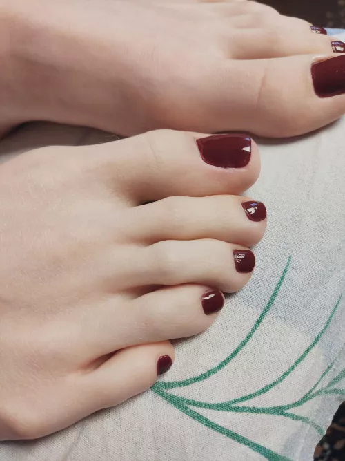 Do you want to suck my toes?🤤💕 by Alisa_bandicoot