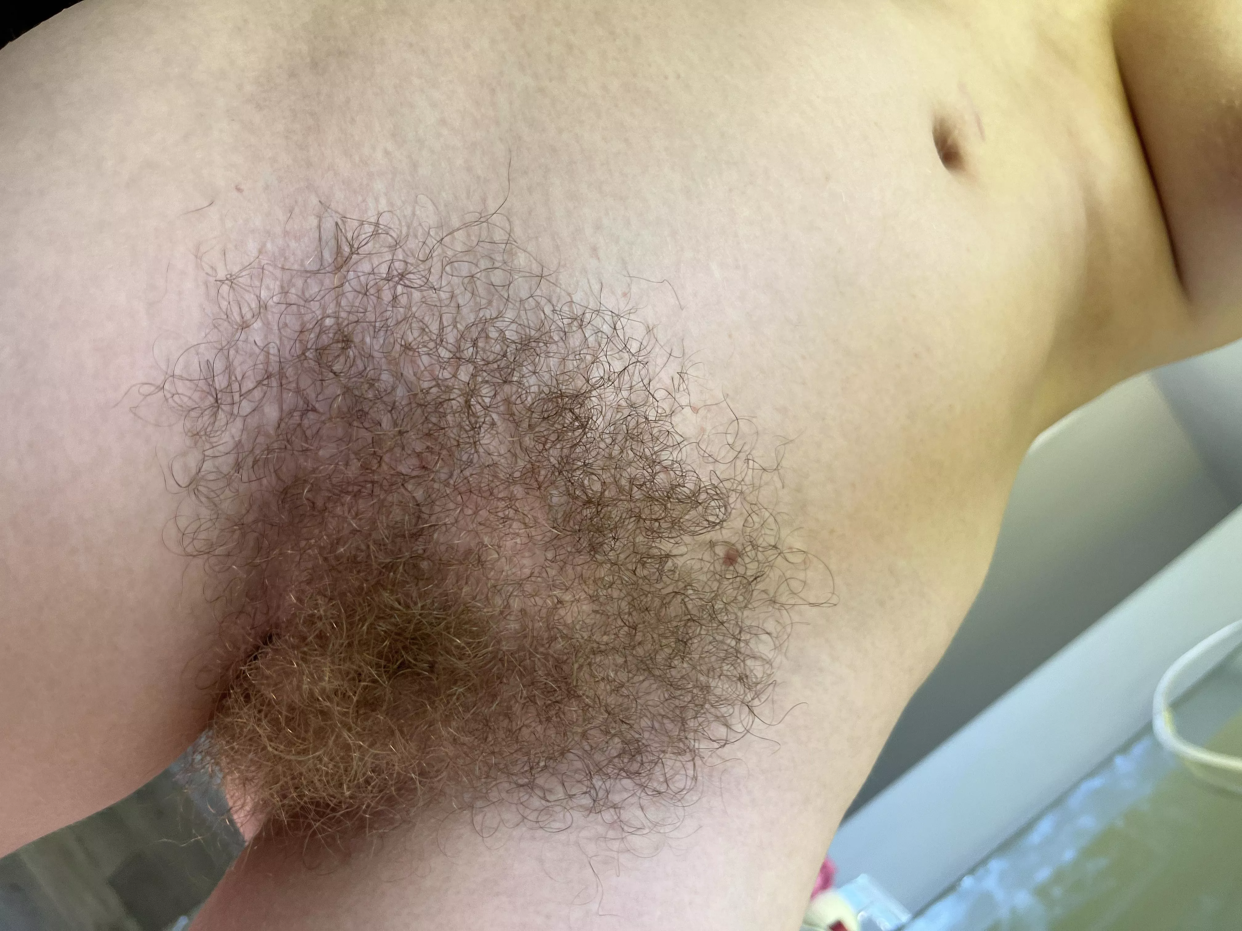 do you want to warm your nose in my fur? posted by abbysunny