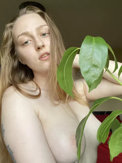 does anybody know what this plant is? 😁 by trinnduffy