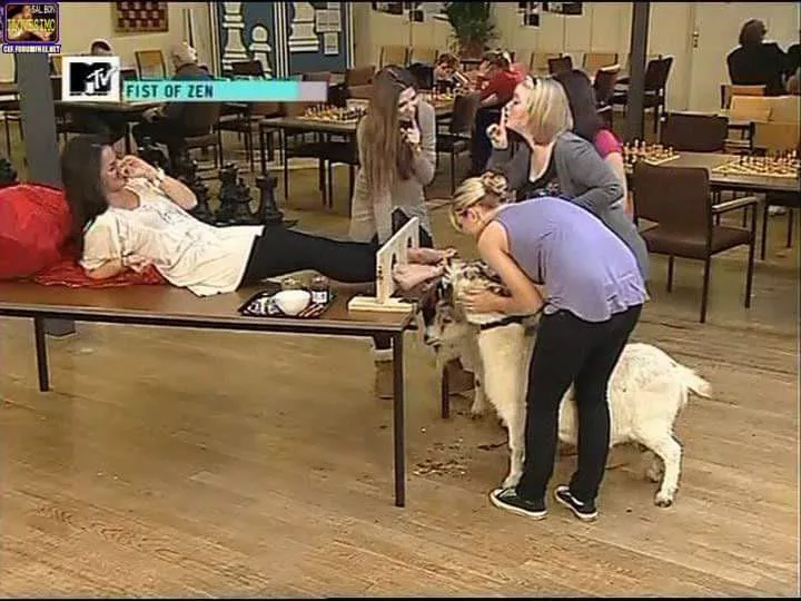 Does anyone know where this clip is? Fist of zen, girls name is Raha. Cant find this clip anywhere anymore. posted by ballengrabbel