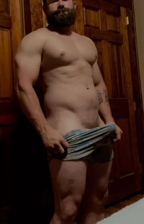 Does beardsandboners like silkies? by glocksdontjam43