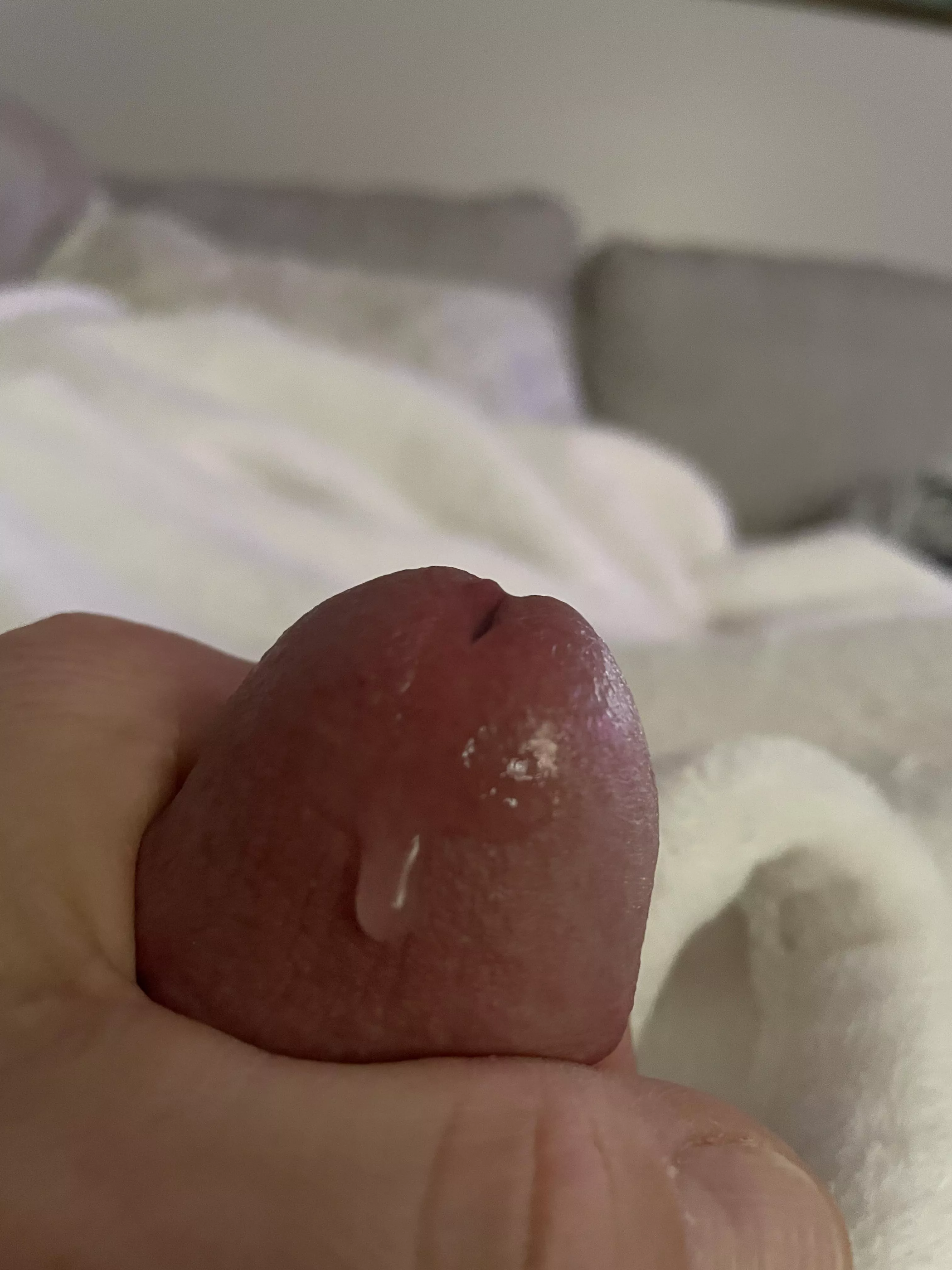 Does it look tasty? posted by Jacksonfive513