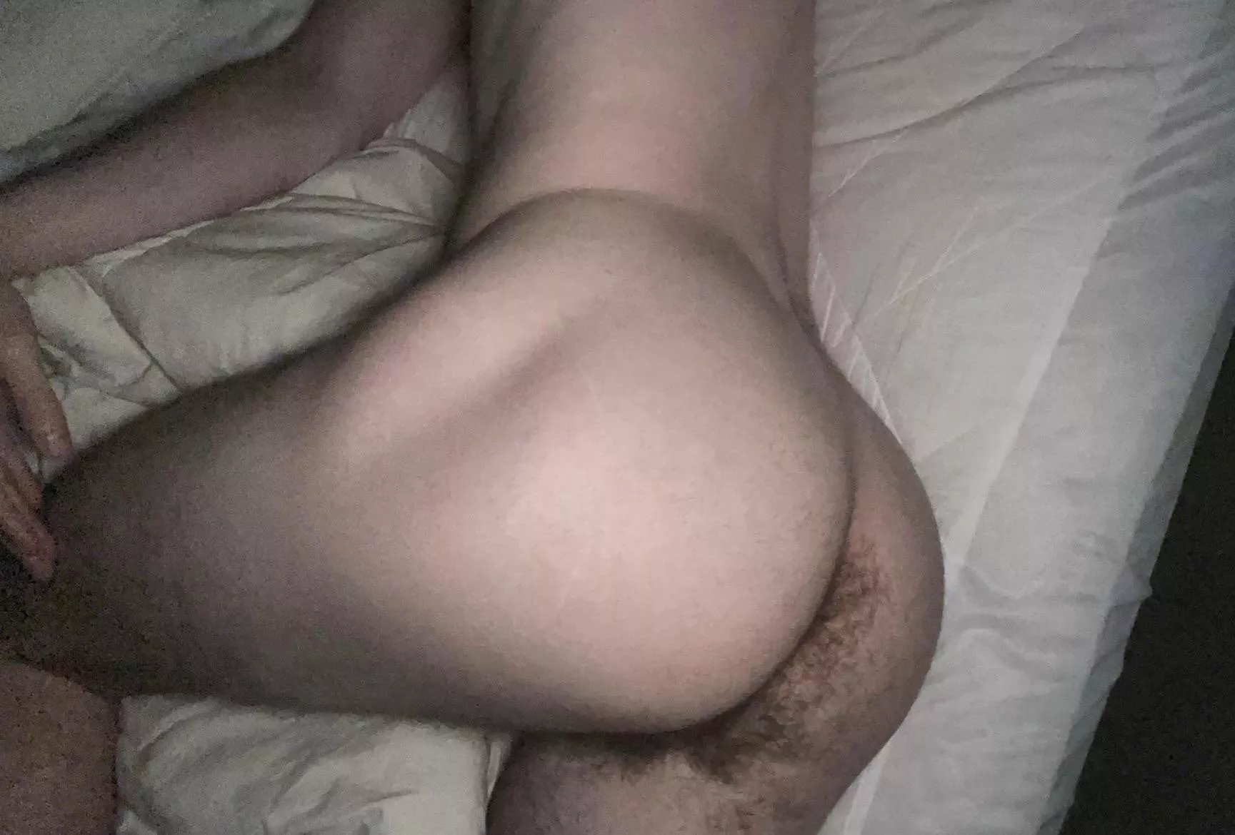 does my furry crack tease you? posted by melbiglouu