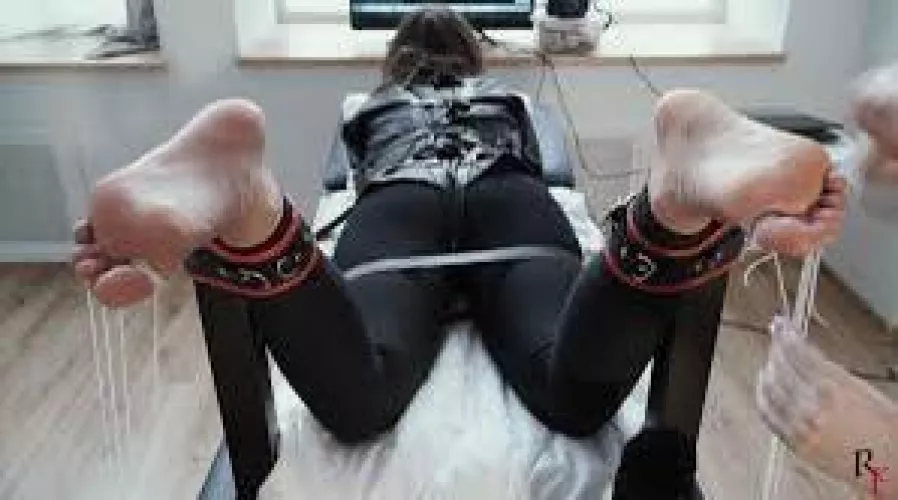 Does someone have a link?? Thank you!! by Qualle374