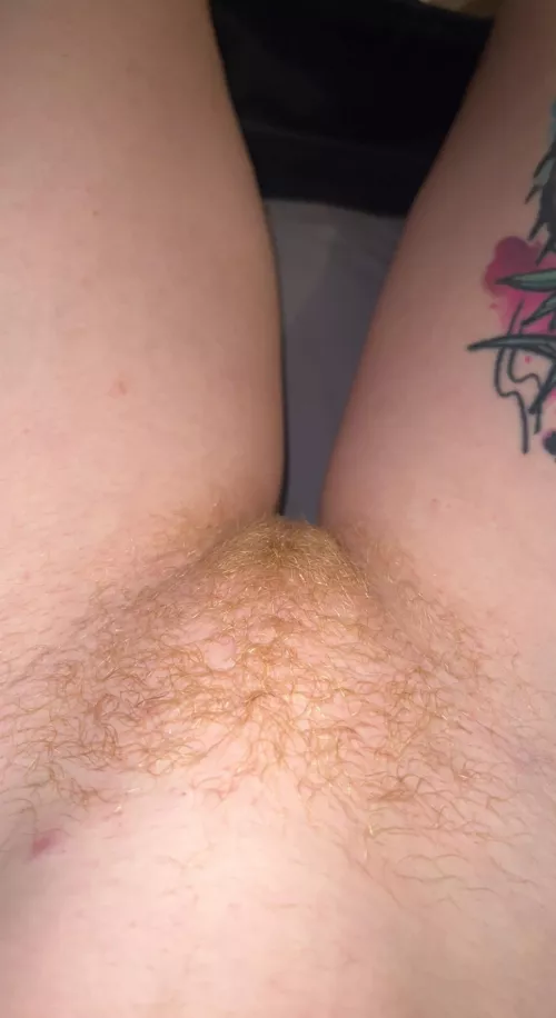 Does the carpet match the drapes? by mushroomtriq