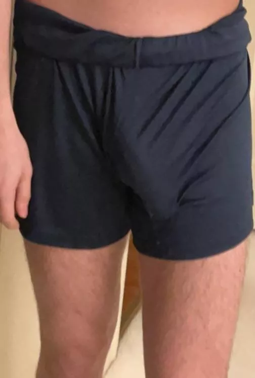 Does this belong here? Upvote and comment if my freeballing cock looks big and heavy here :7 posted by Ornery_Owl7476