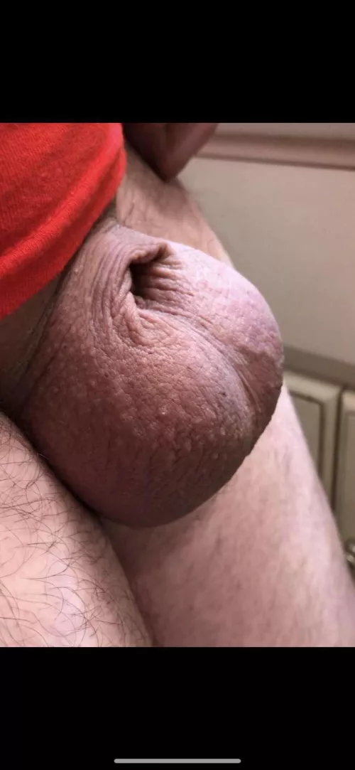 does this make the cut? by Dull_Air_7684