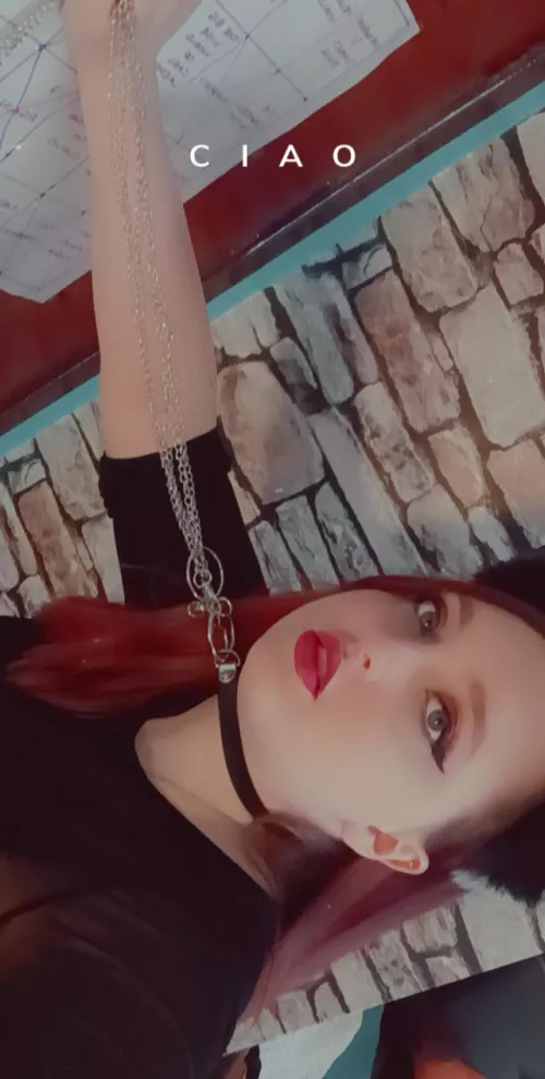 Does this puppy deserve a treat? 😇 by _mistress_34