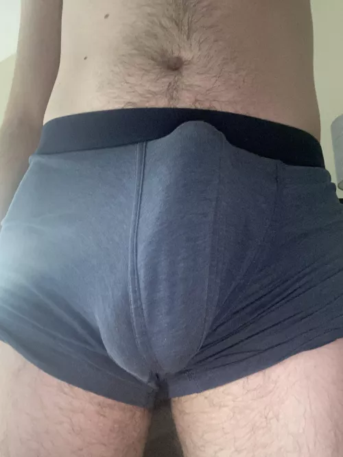 Doesn’t leave much to the imagination by FreddieAlfredo