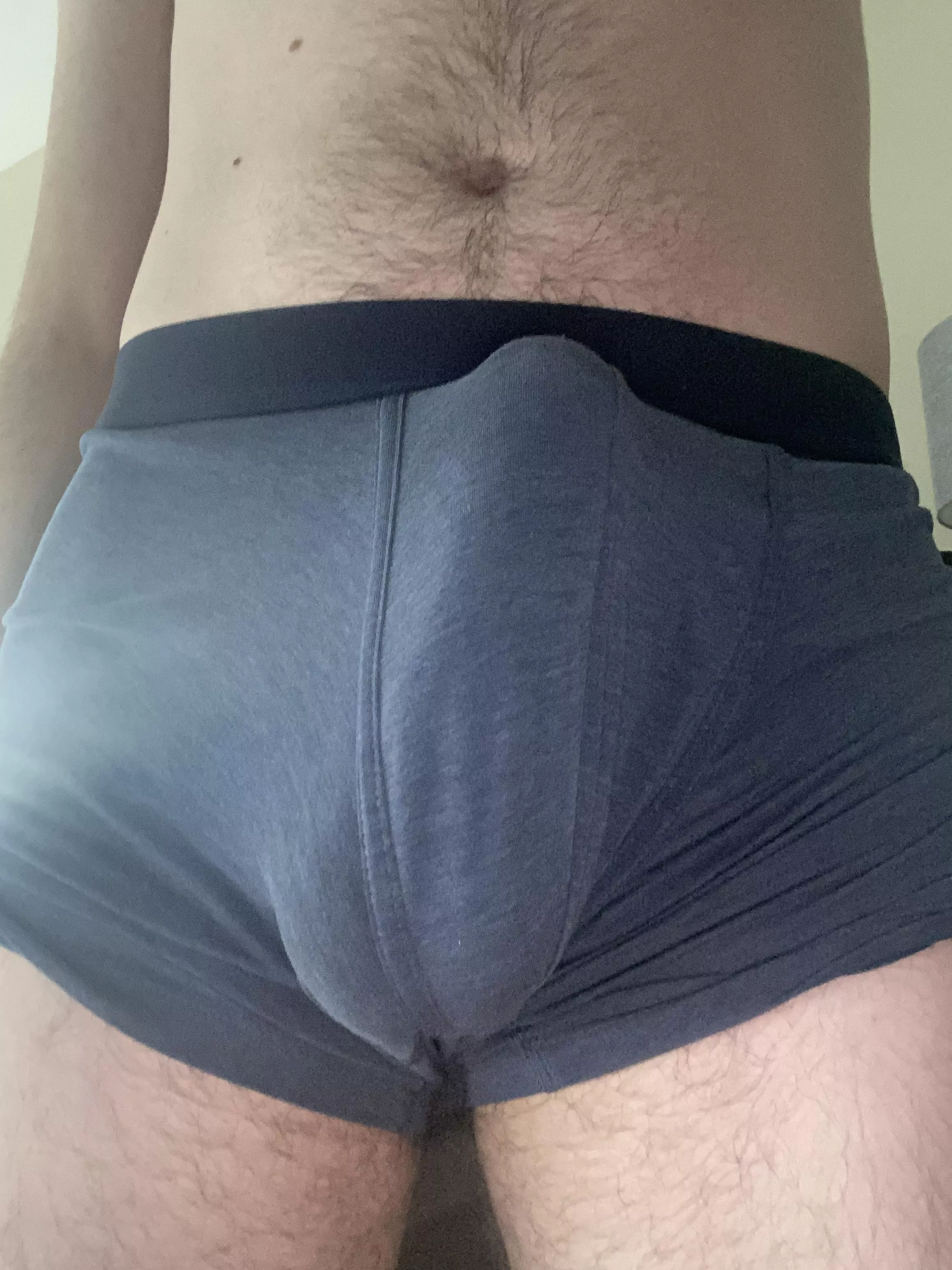 Doesn’t leave much to the imagination posted by FreddieAlfredo