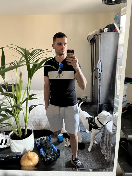 Dog walk time… finally in some ☀️😎🐾 by AntLee8986