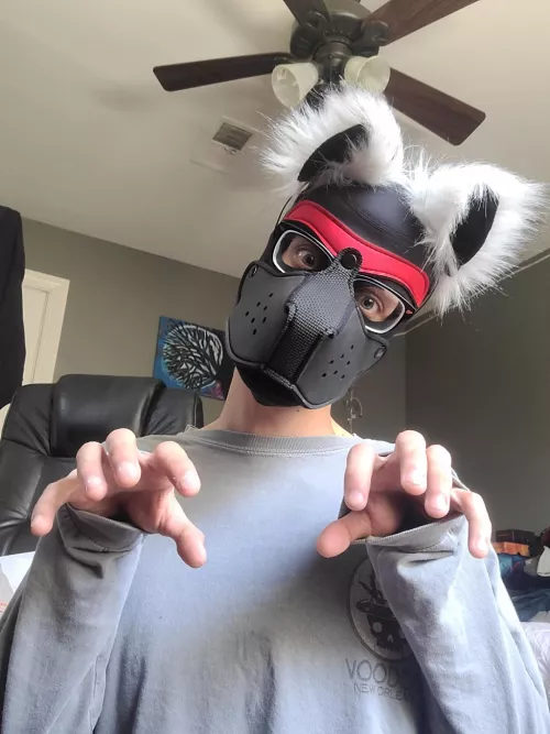 Dog?......Cat?? by VoxSilvaIsGay