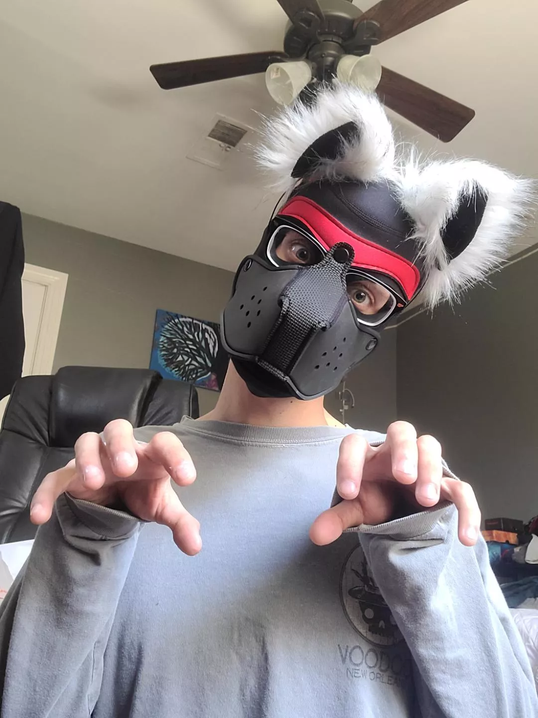 Dog?......Cat?? posted by VoxSilvaIsGay