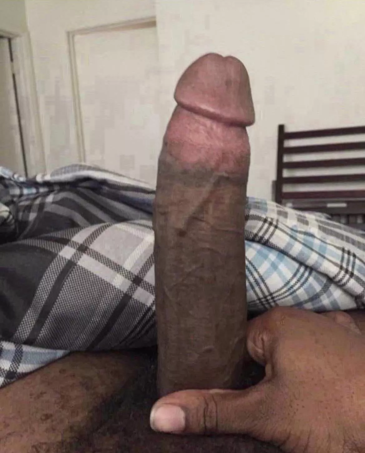 doggy? posted by ty__king