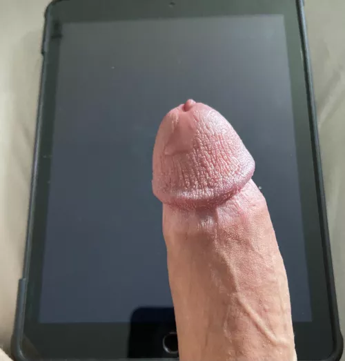 Doing cocktributes by Major_Cum231