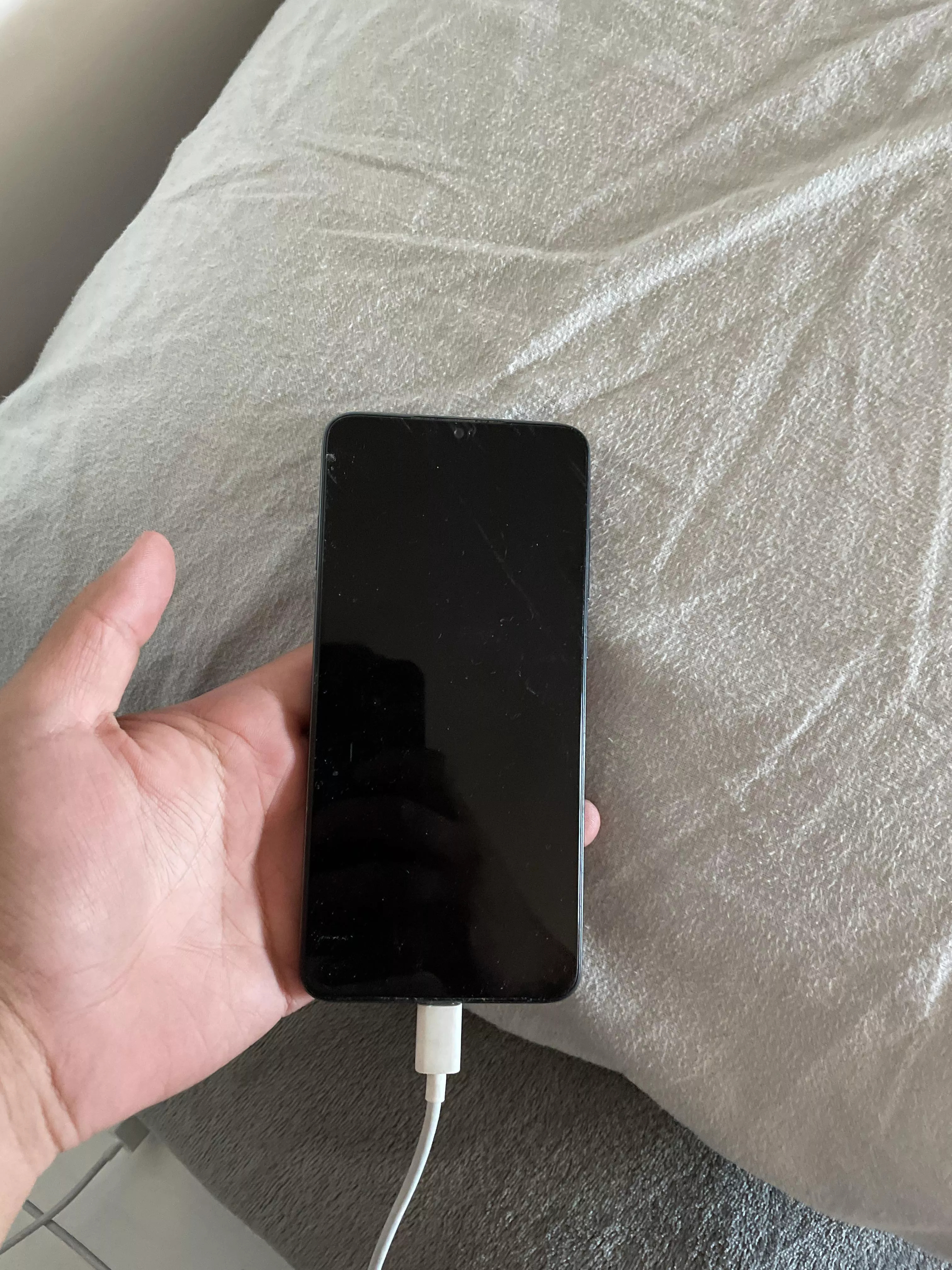 Doing tribs for teens and nudes, dm me on telegram egr1267 posted by Fun-Assignment4526