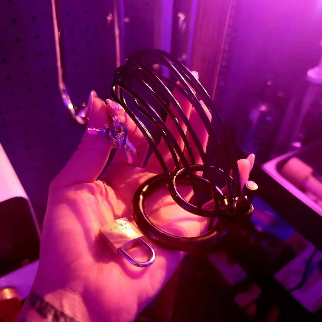 Dominant mommy seeking for a submissive sissy / slave to explore, chastity, humiliate and be dominated by me for long term. Snapchat: mommykity1 posted by kffjudj