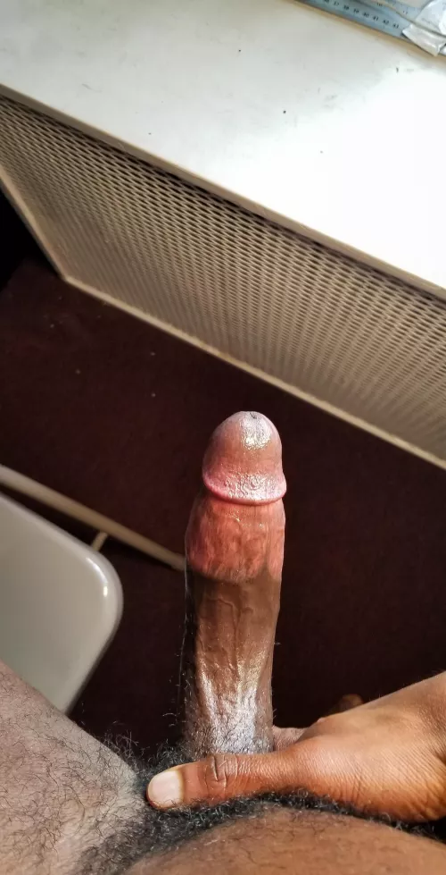 Don't be shy, I don't bite by toni-veracruz