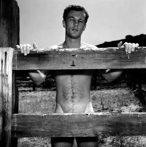 Don’t fence me in… posted by KKwoodhill