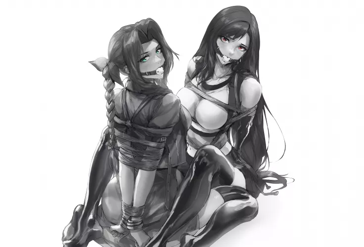 Don’t interrupt Tifa and Aerith by pablito14