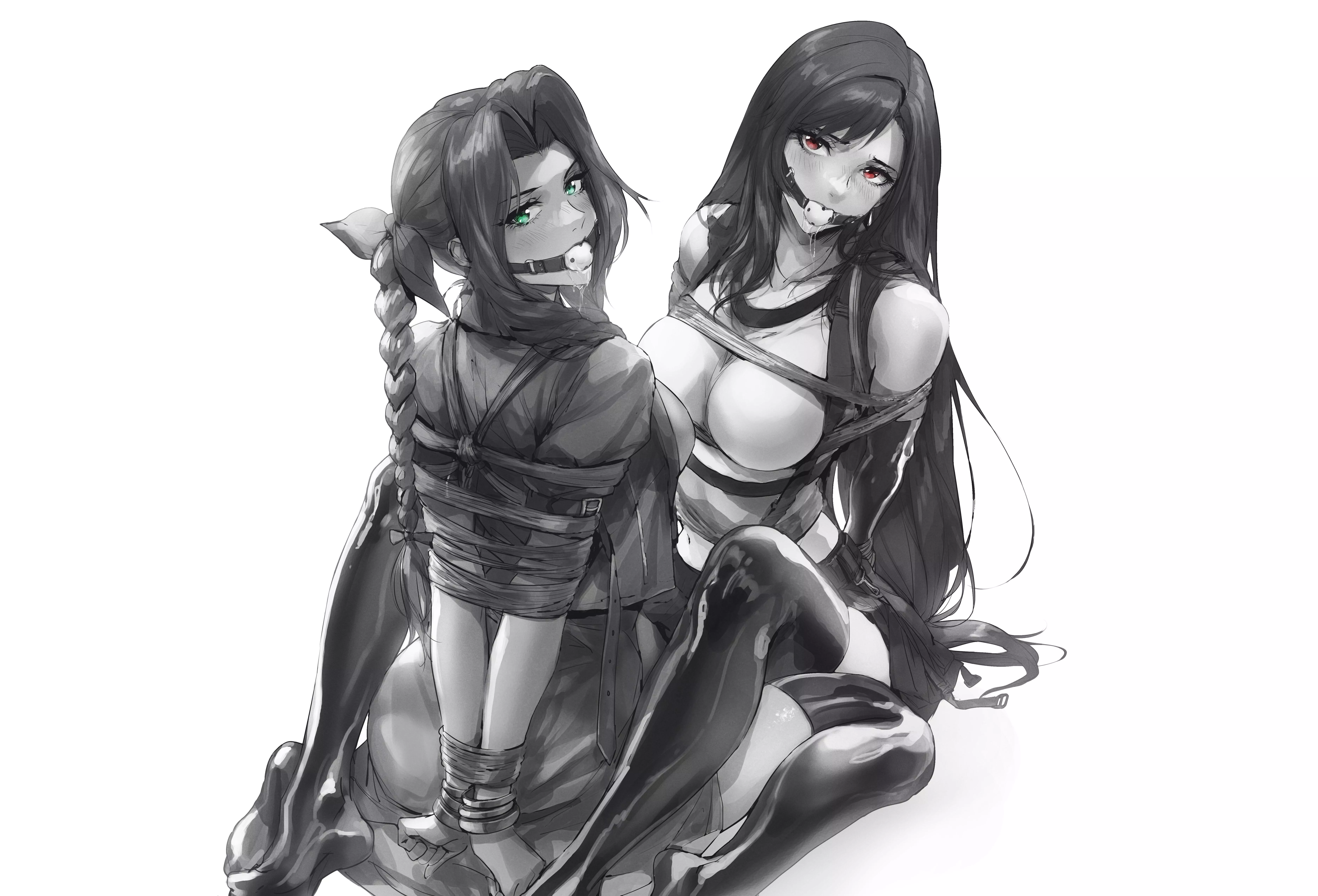 Don’t interrupt Tifa and Aerith posted by pablito14