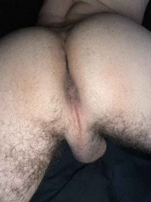 Don’t make me beg.. by mckryan