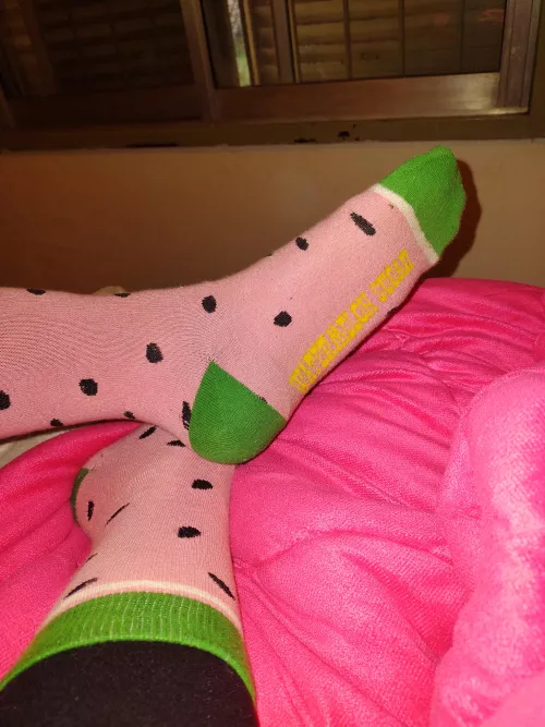 Dont you love this watermelon socks? 🤩 by tastymila_