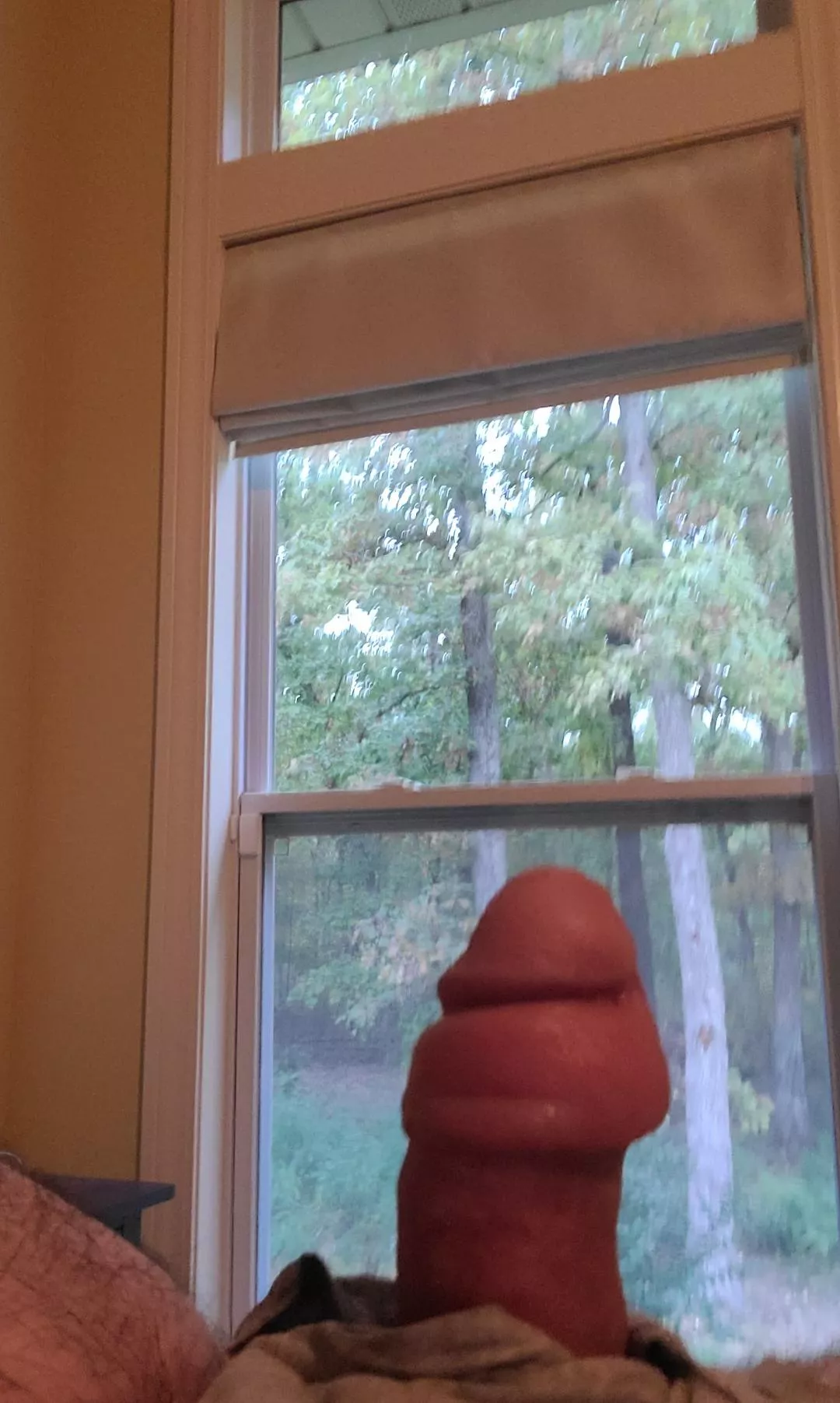 donut posted by missouricountry