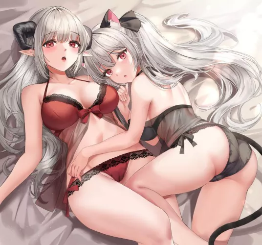 Double Lingerie [Original] by MysteriousDinner7822