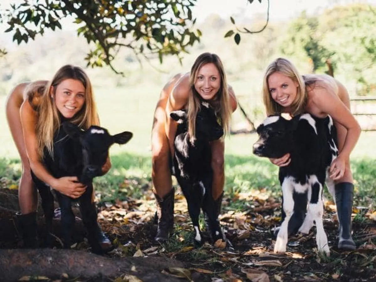 Down on the farm posted by wrongway_feldman