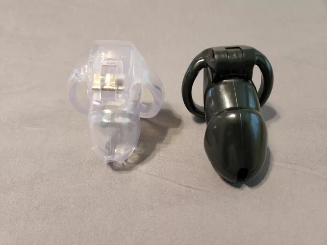 Downsized to a new cage. Old one got too big. by RustyBallz2083