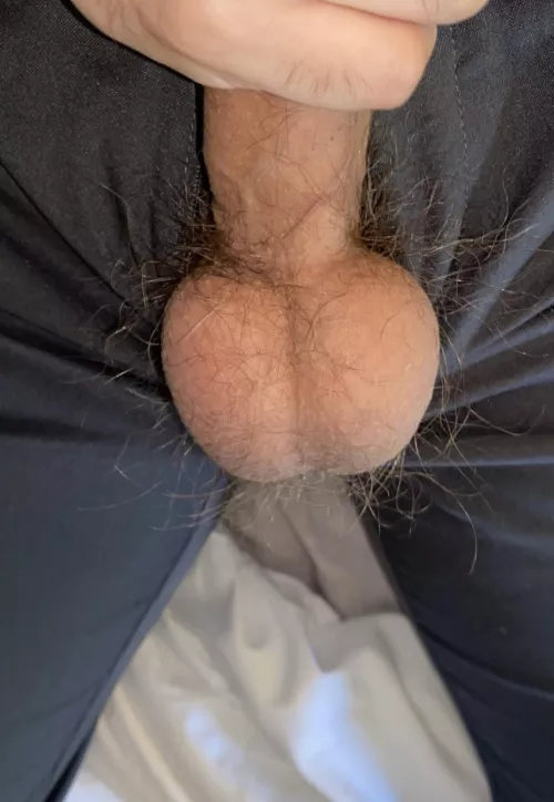 Drain these hairy Ukrainian balls by GuidanceNo2964