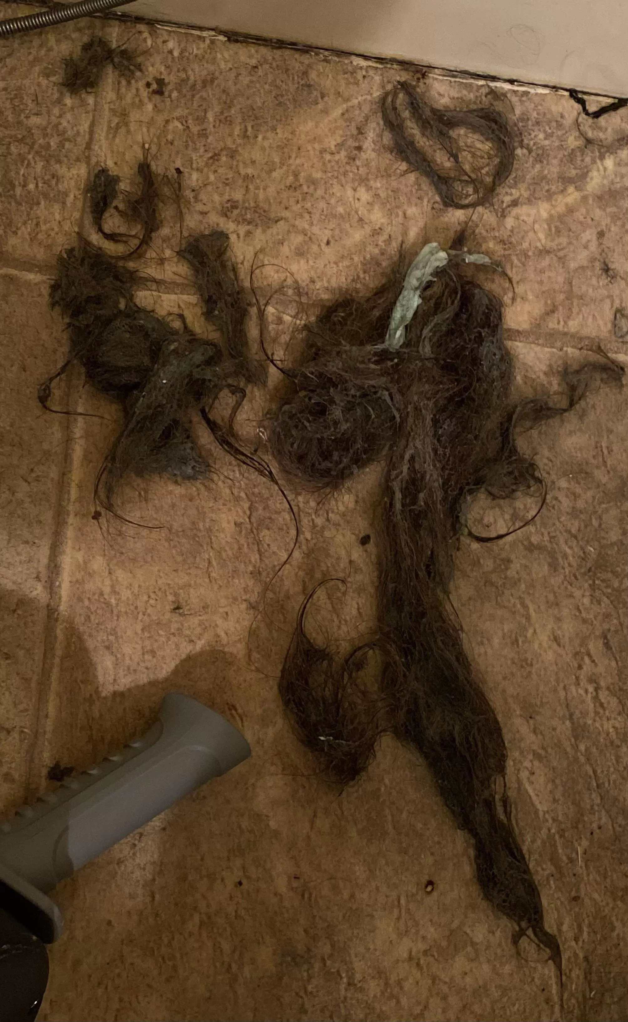 Drain was clogged, so I rage bought a drain auger and used all of the frustration in my 4’8” body to snake the drain myself. What came out was 6+ years of built up hair, soap scum, some sort of… gum? and plenty of weird grey juice (which some got i posted by daimonophilia