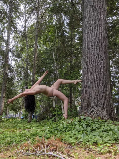 dreamy by DaddysCuriousKitty