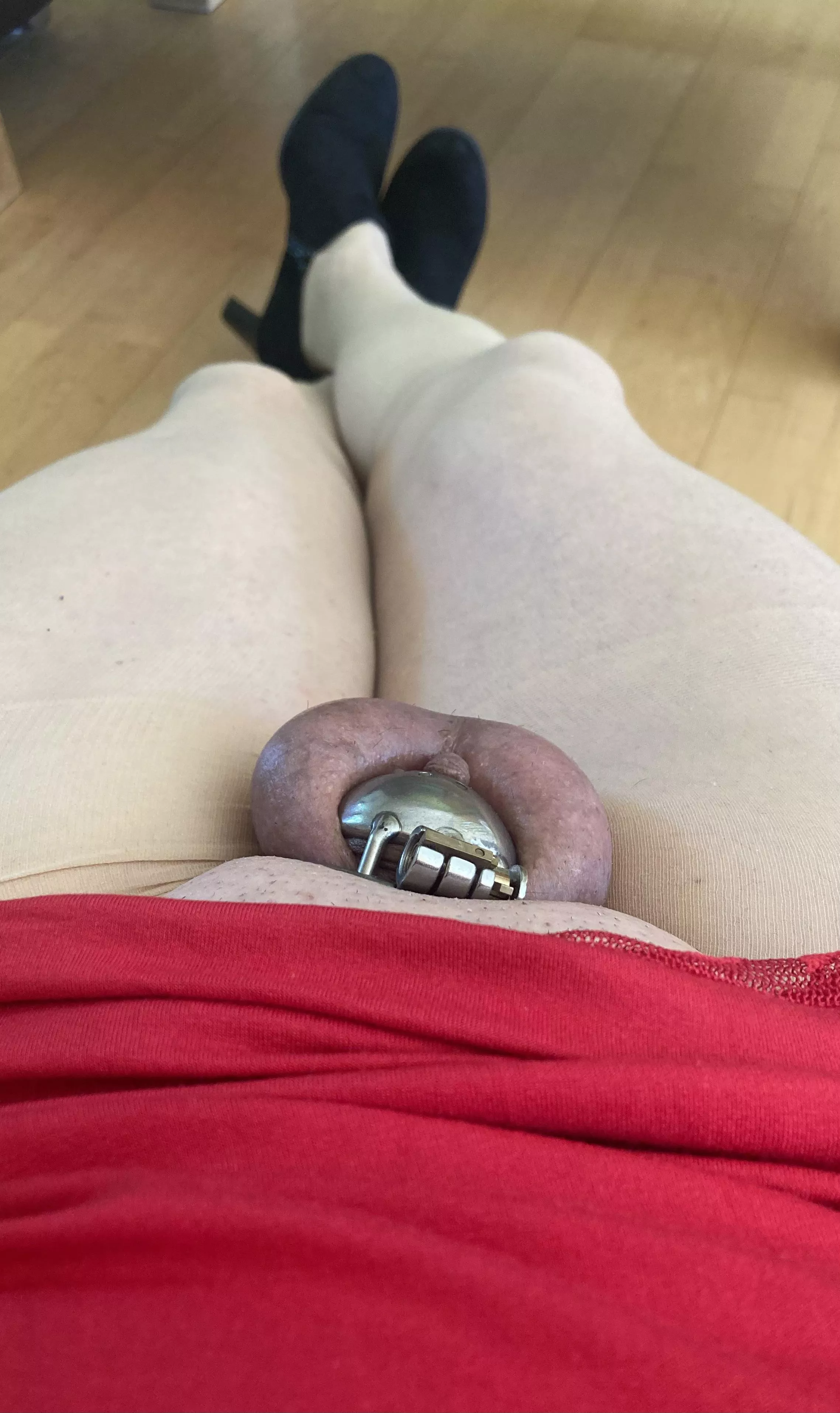 Dressed and caged at Sunday posted by Pigmaster-21