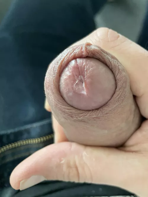 Drip by TheLubeFactory