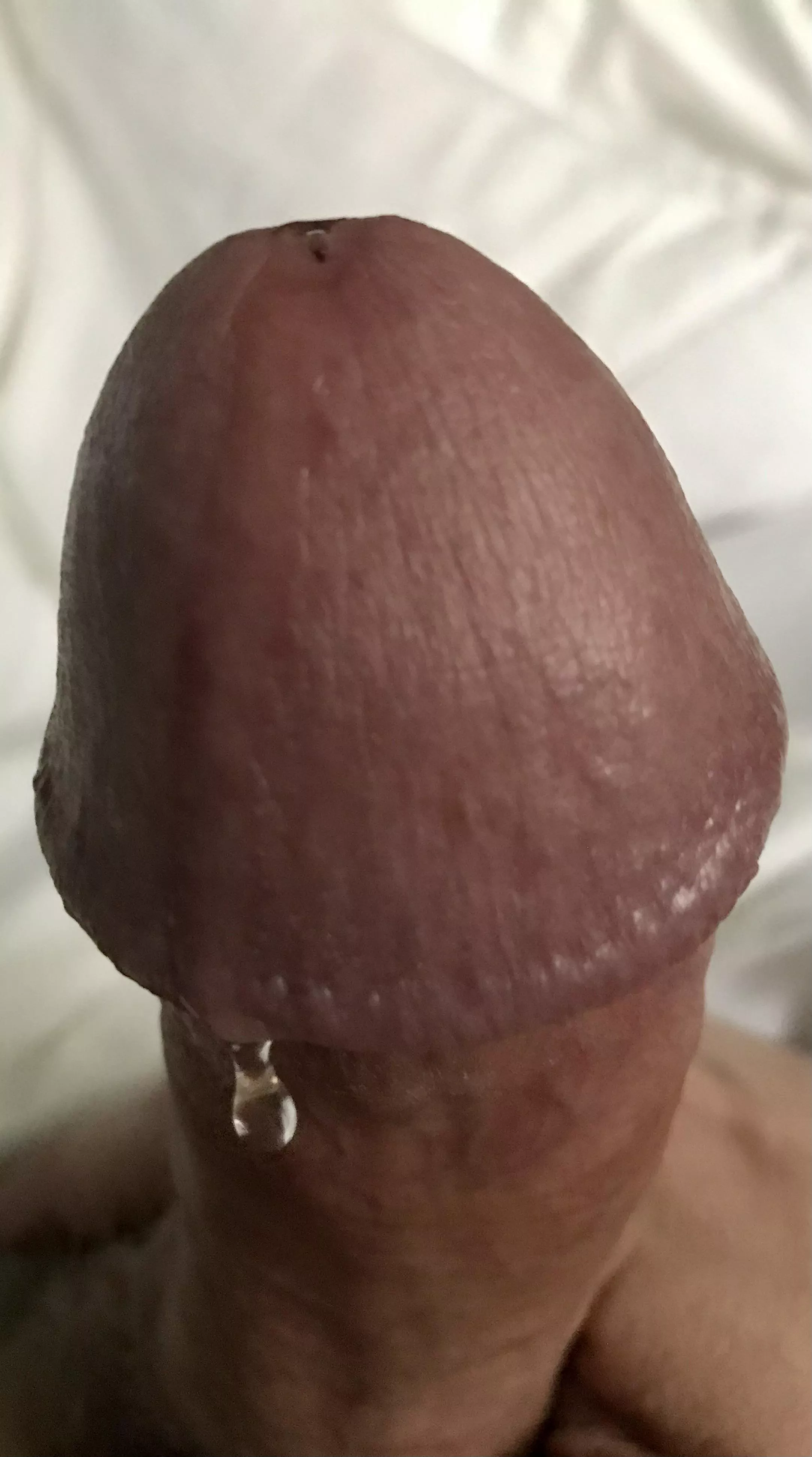 Drip posted by usbjofz