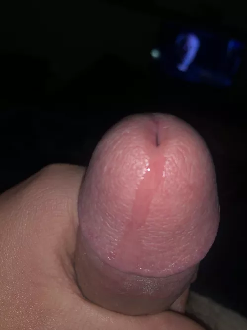 Drip by Specialist-Lettuce95