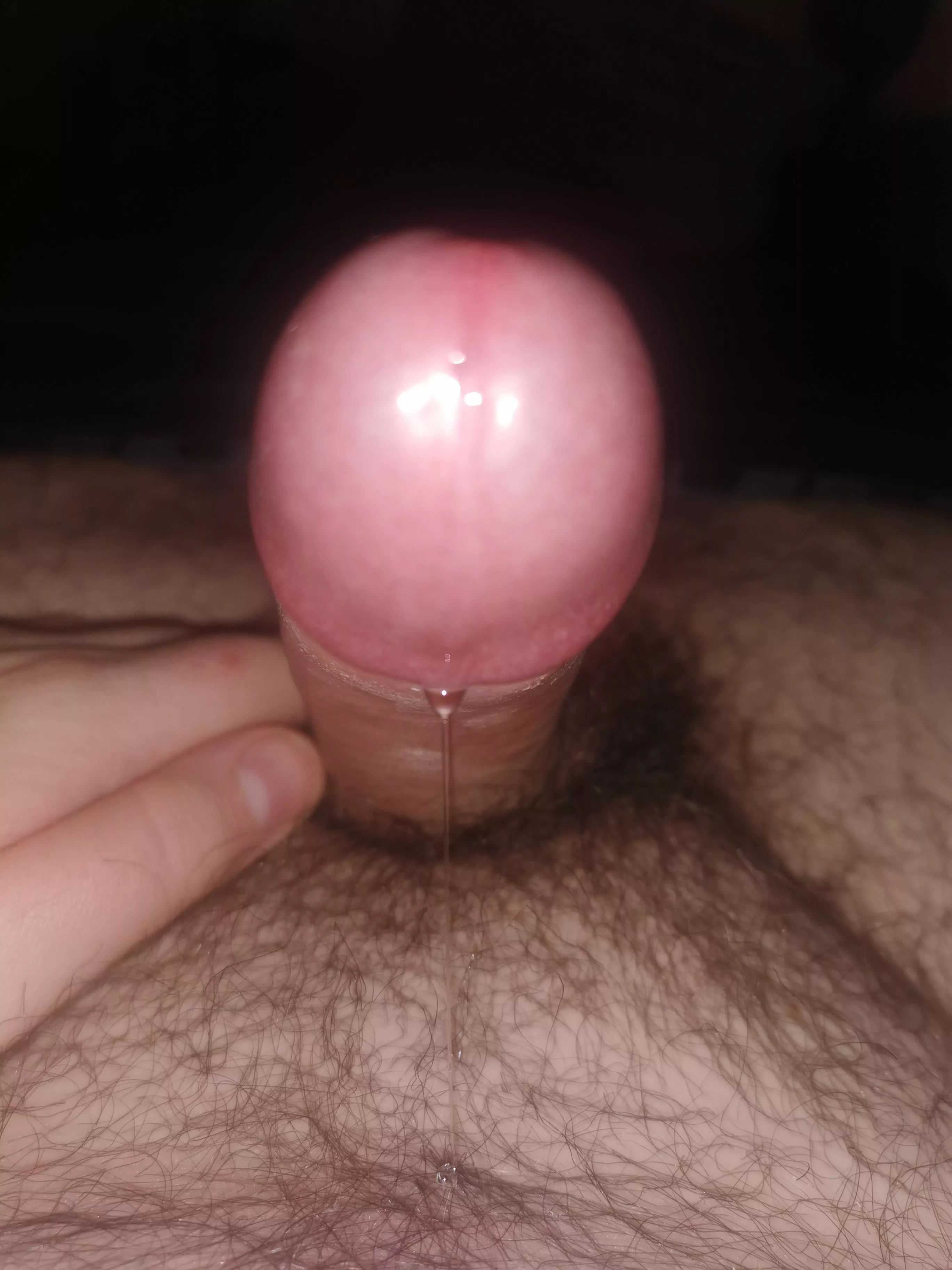 drip posted by tackytrainers