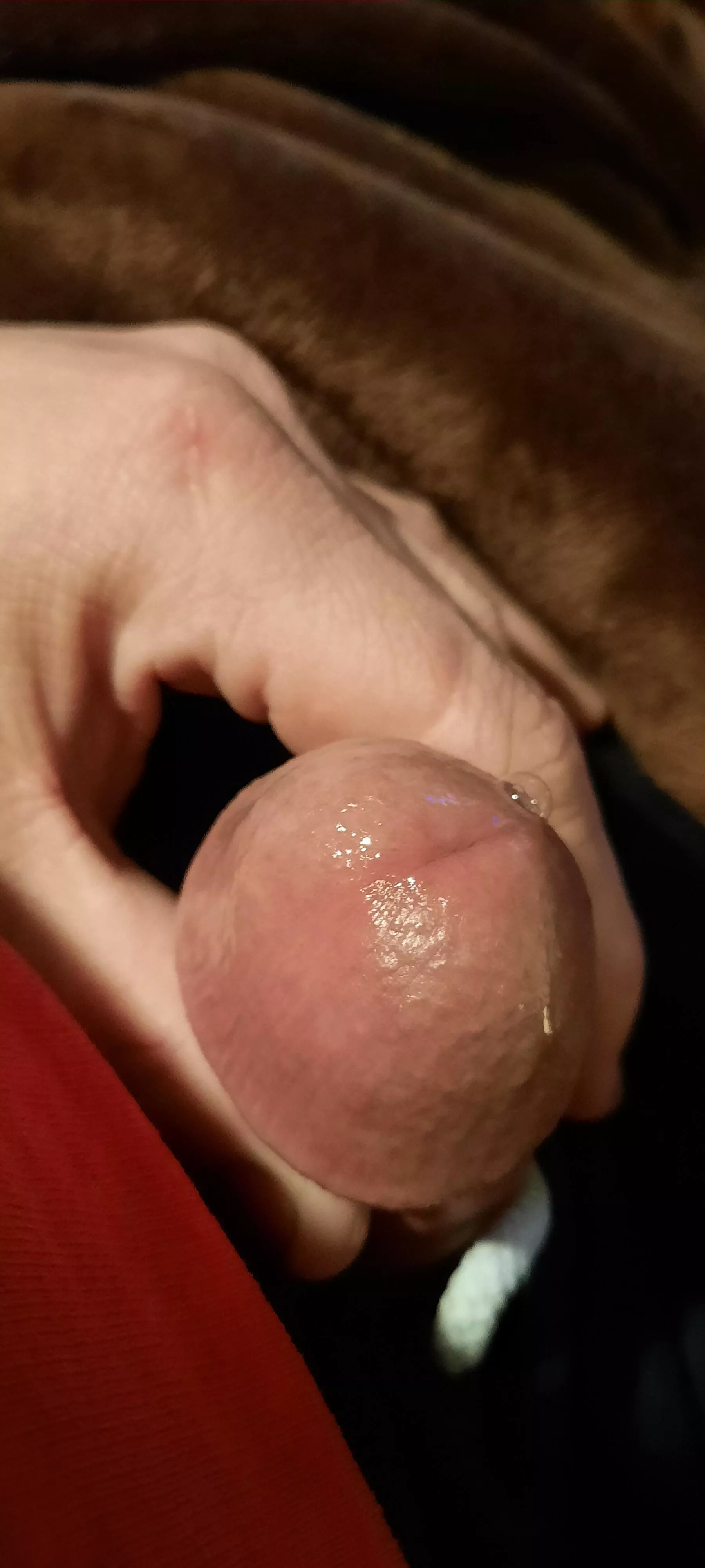Dripping fro(m) edging all day posted by Diaperedgamerdude
