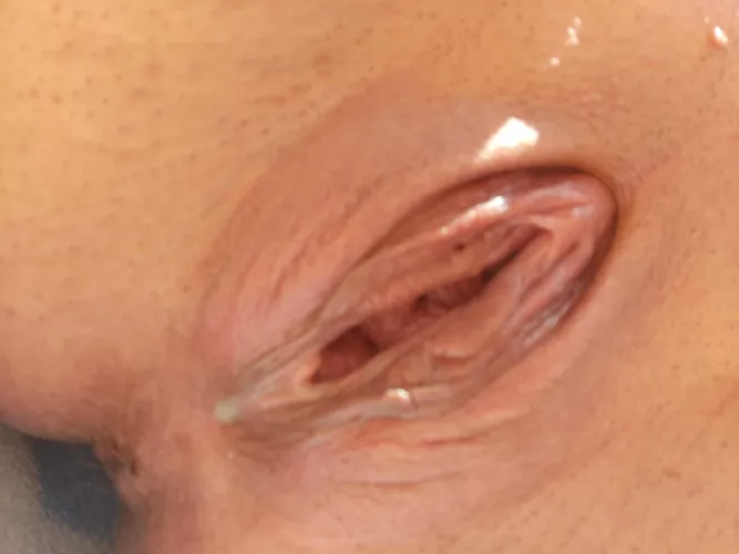 dripping in the sun by Snoo-90330