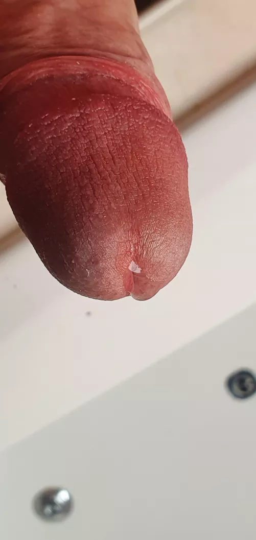 Dripping so hard thinking about others watching me jerk off by MrShaftman