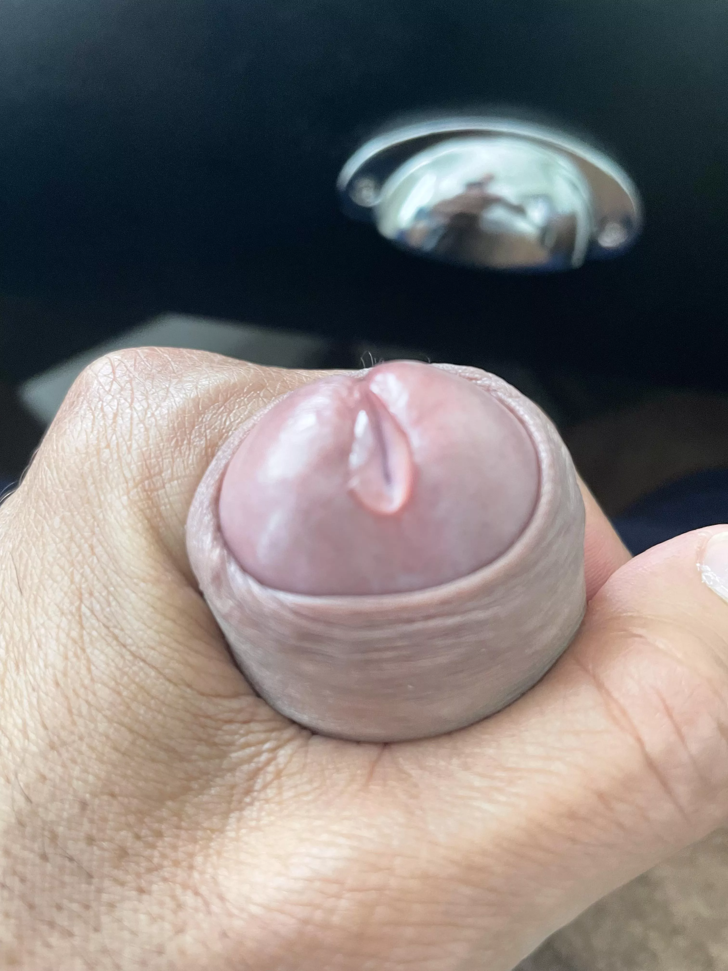 Dripping this morning. posted by sucknswallowyou