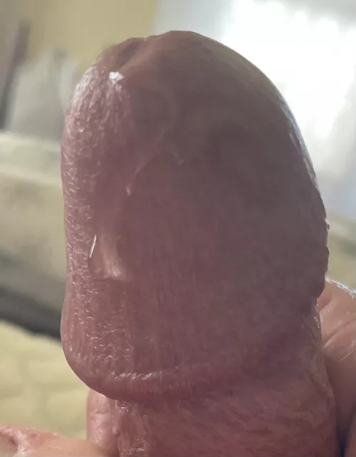 Drippy drip by RobertWilson20000