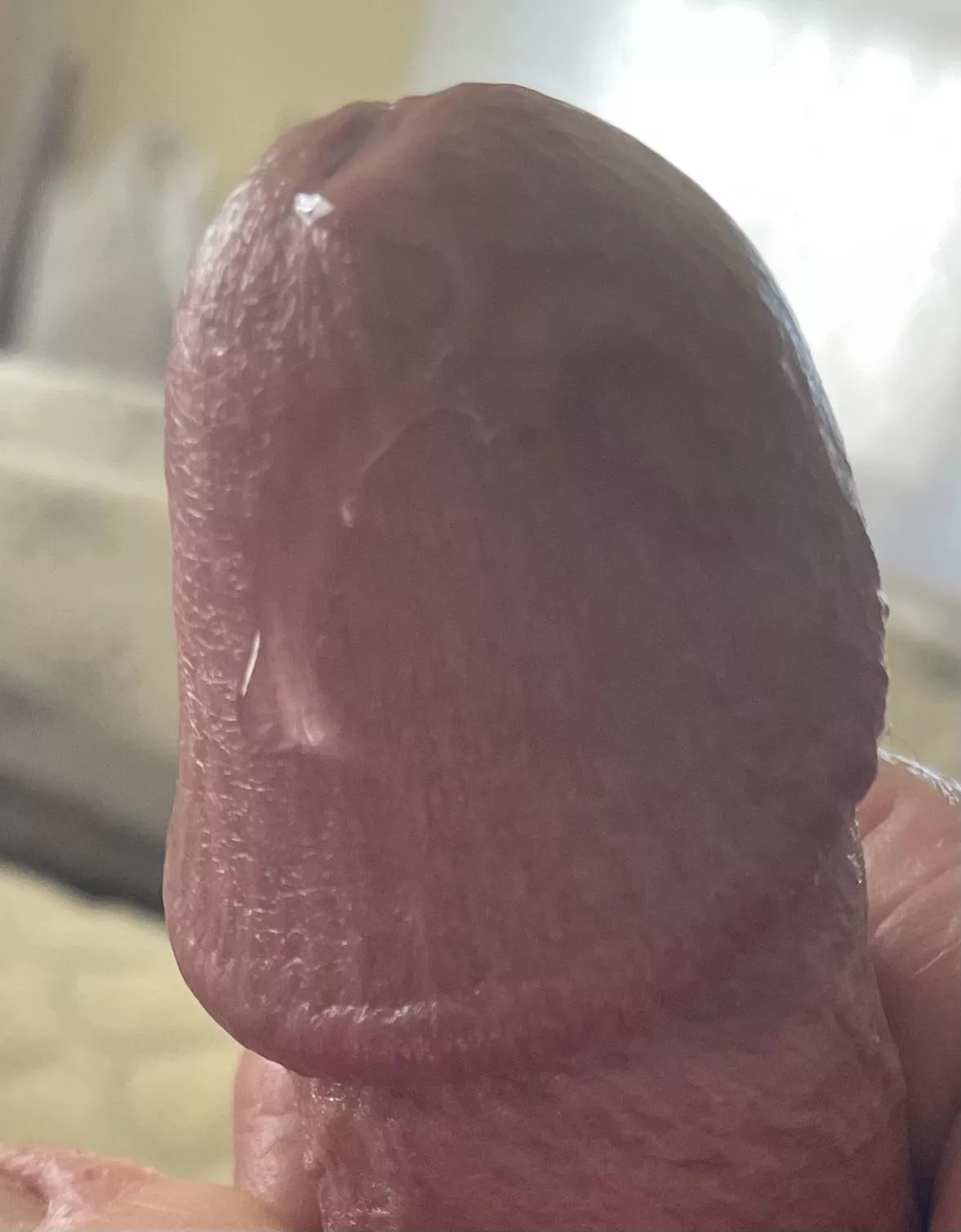 Drippy drip posted by RobertWilson20000