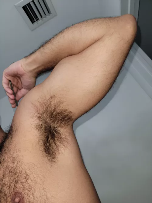 Dry but very musky. by AndreZH